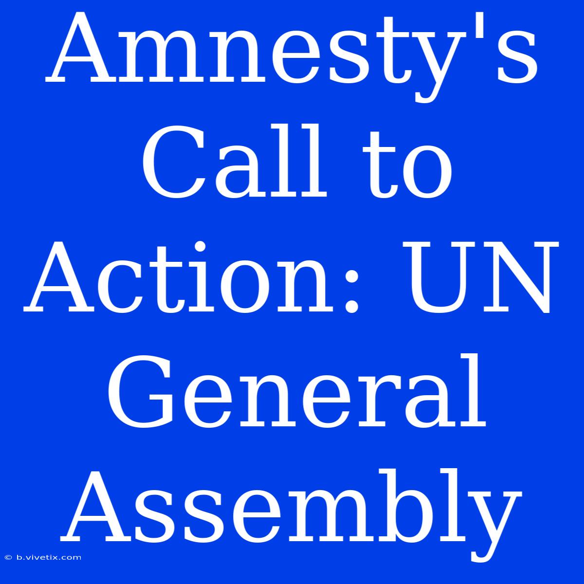 Amnesty's Call To Action: UN General Assembly 