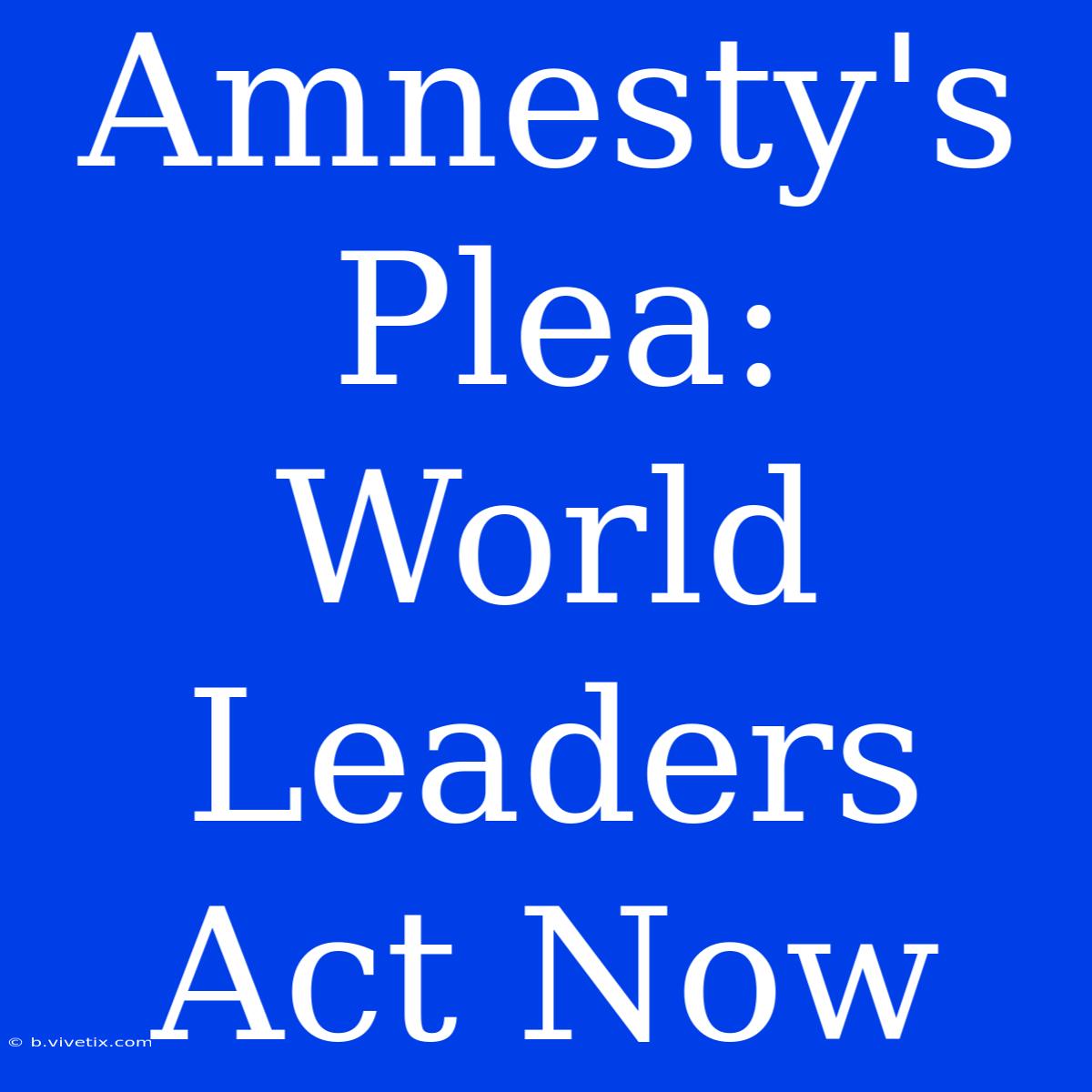 Amnesty's Plea: World Leaders Act Now