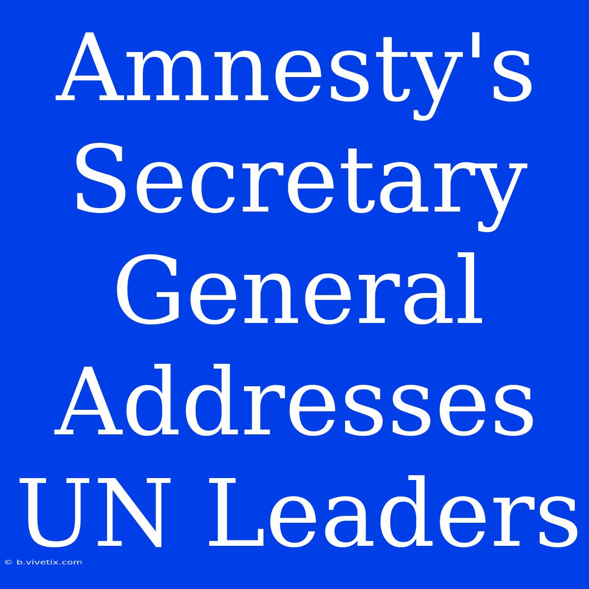 Amnesty's Secretary General Addresses UN Leaders