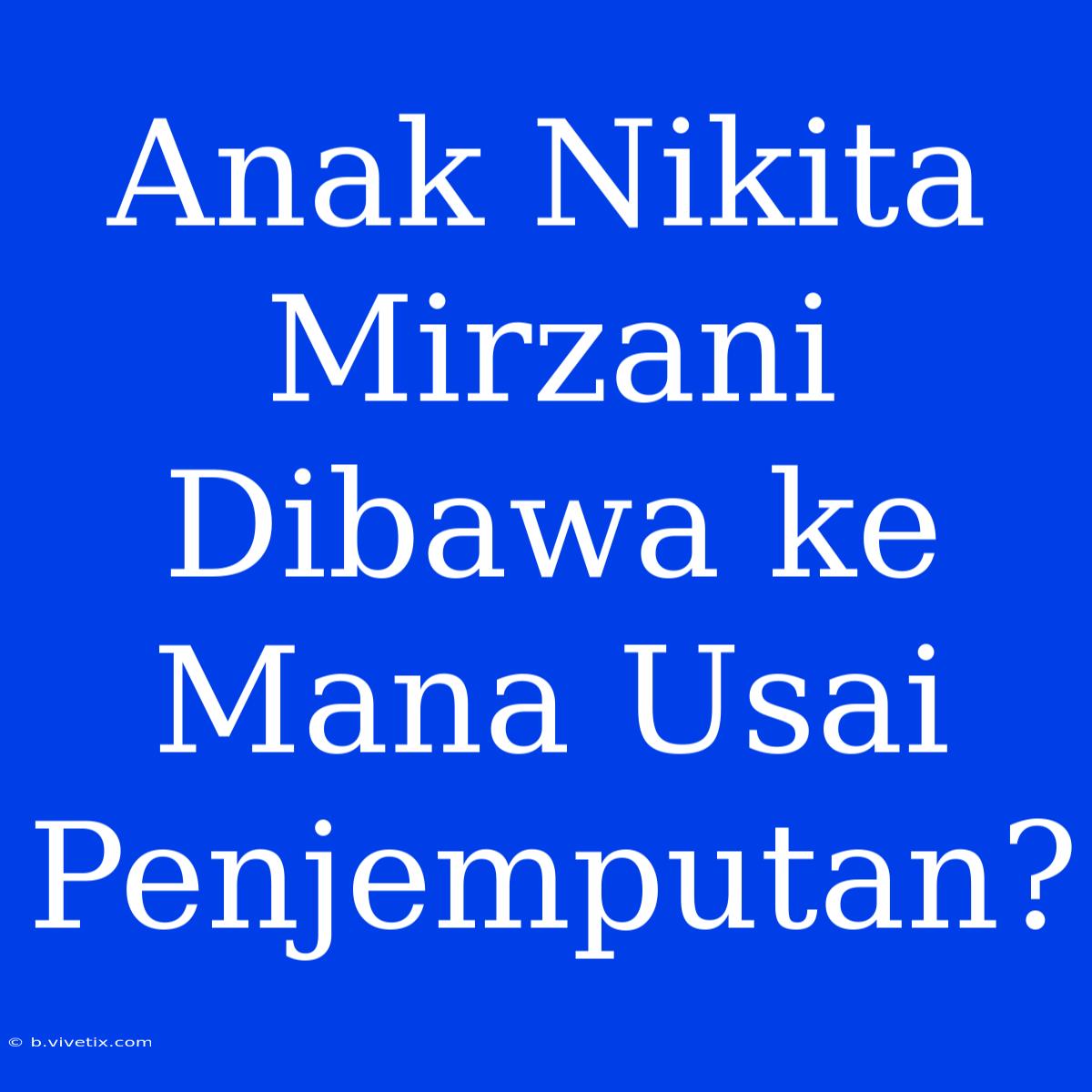 Anak Nikita Mirzani Dibawa Ke Mana Usai Penjemputan?