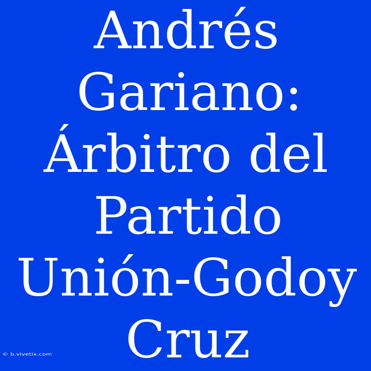 Andrés Gariano: Árbitro Del Partido Unión-Godoy Cruz