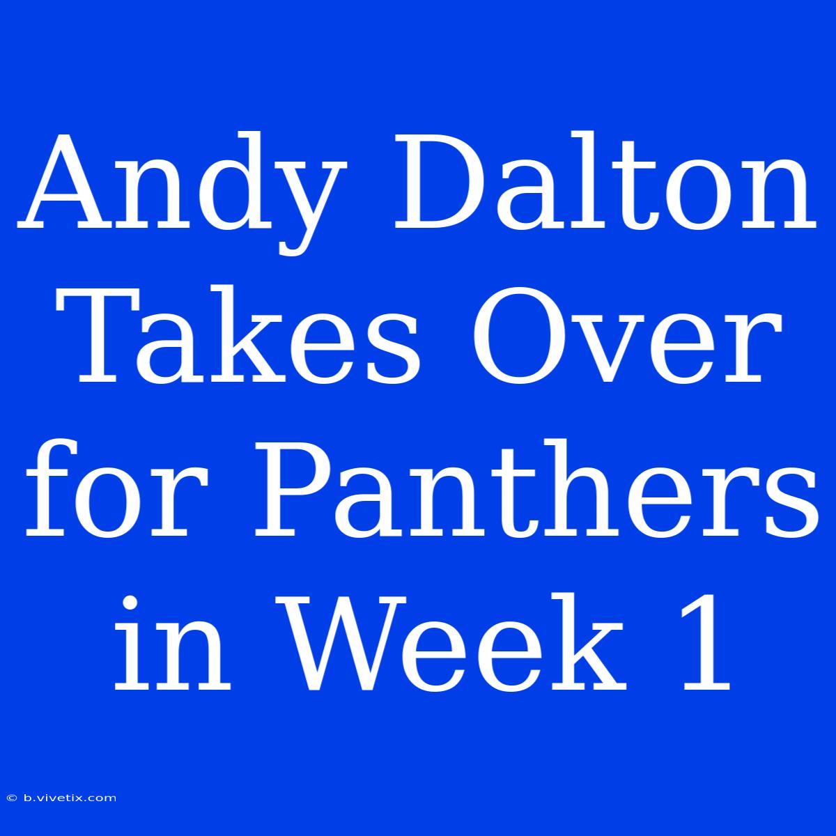 Andy Dalton Takes Over For Panthers In Week 1