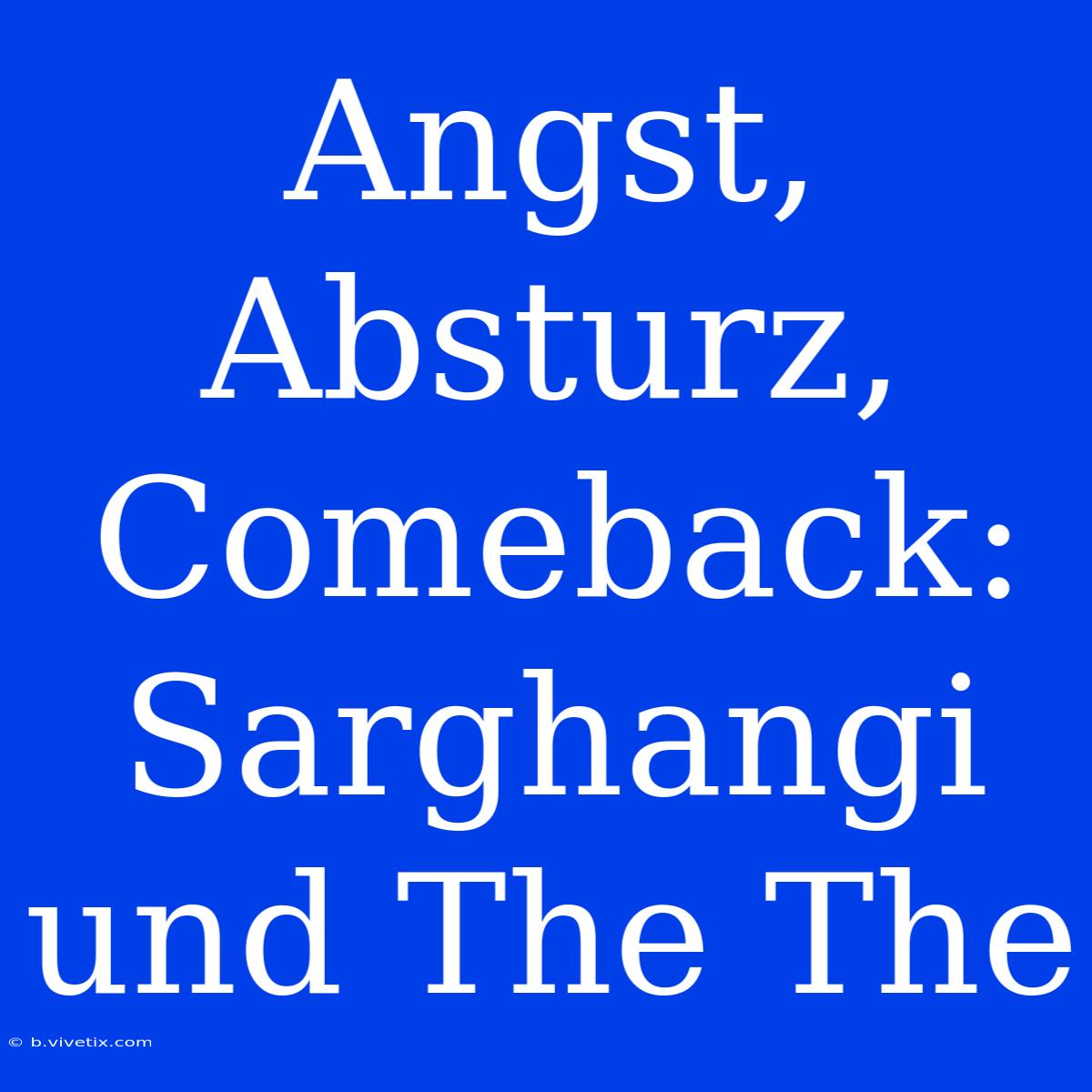 Angst, Absturz, Comeback: Sarghangi Und The The