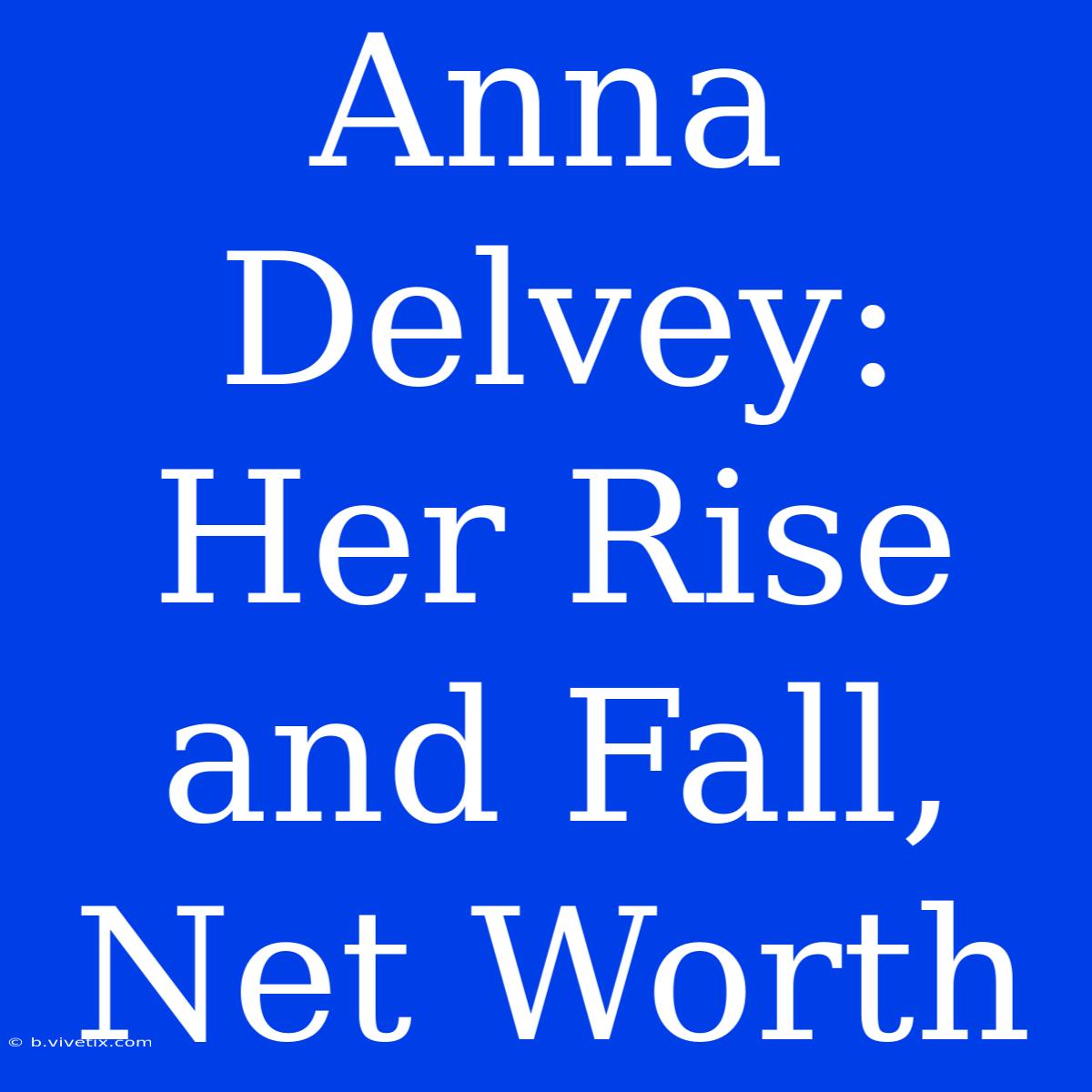 Anna Delvey: Her Rise And Fall, Net Worth