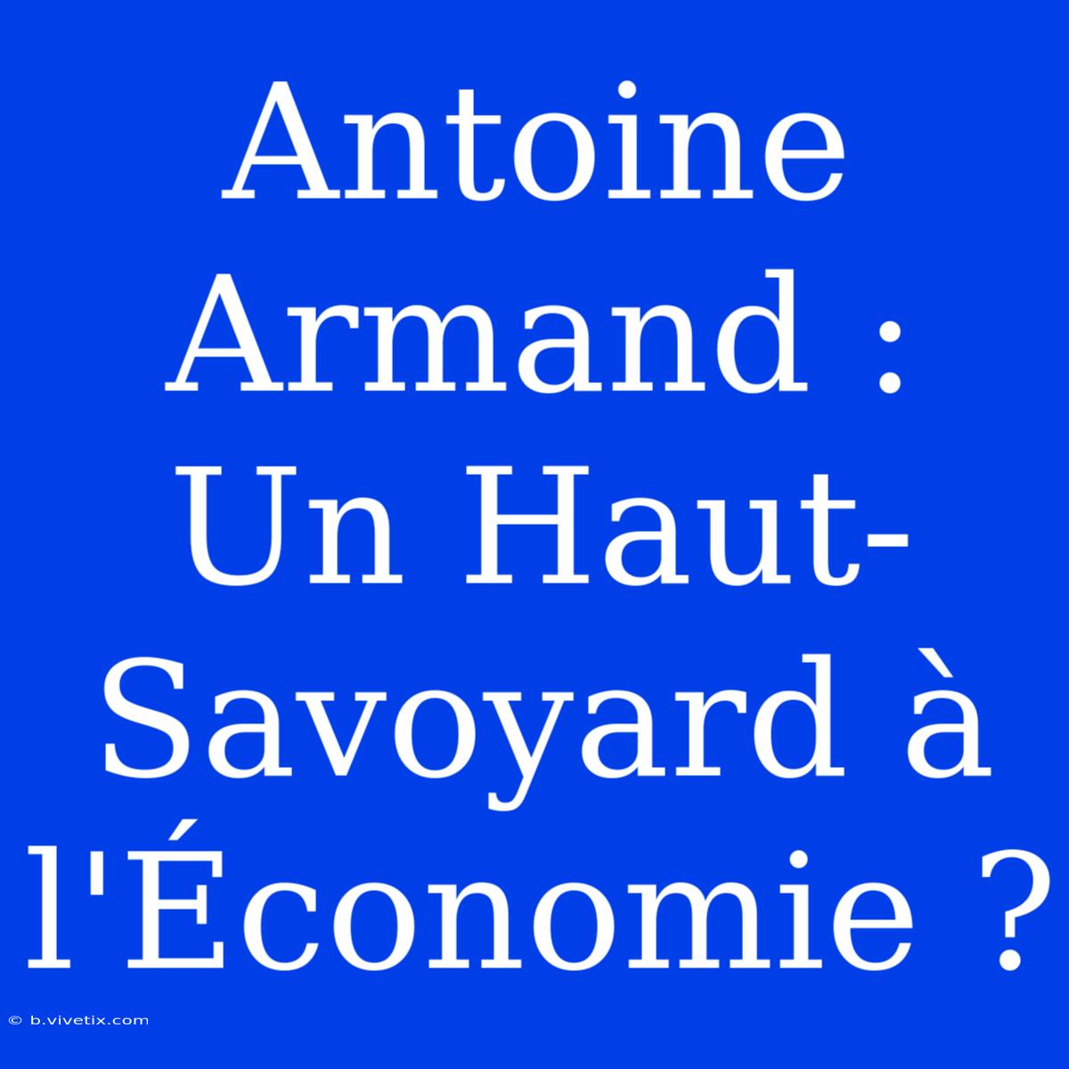 Antoine Armand : Un Haut-Savoyard À L'Économie ?