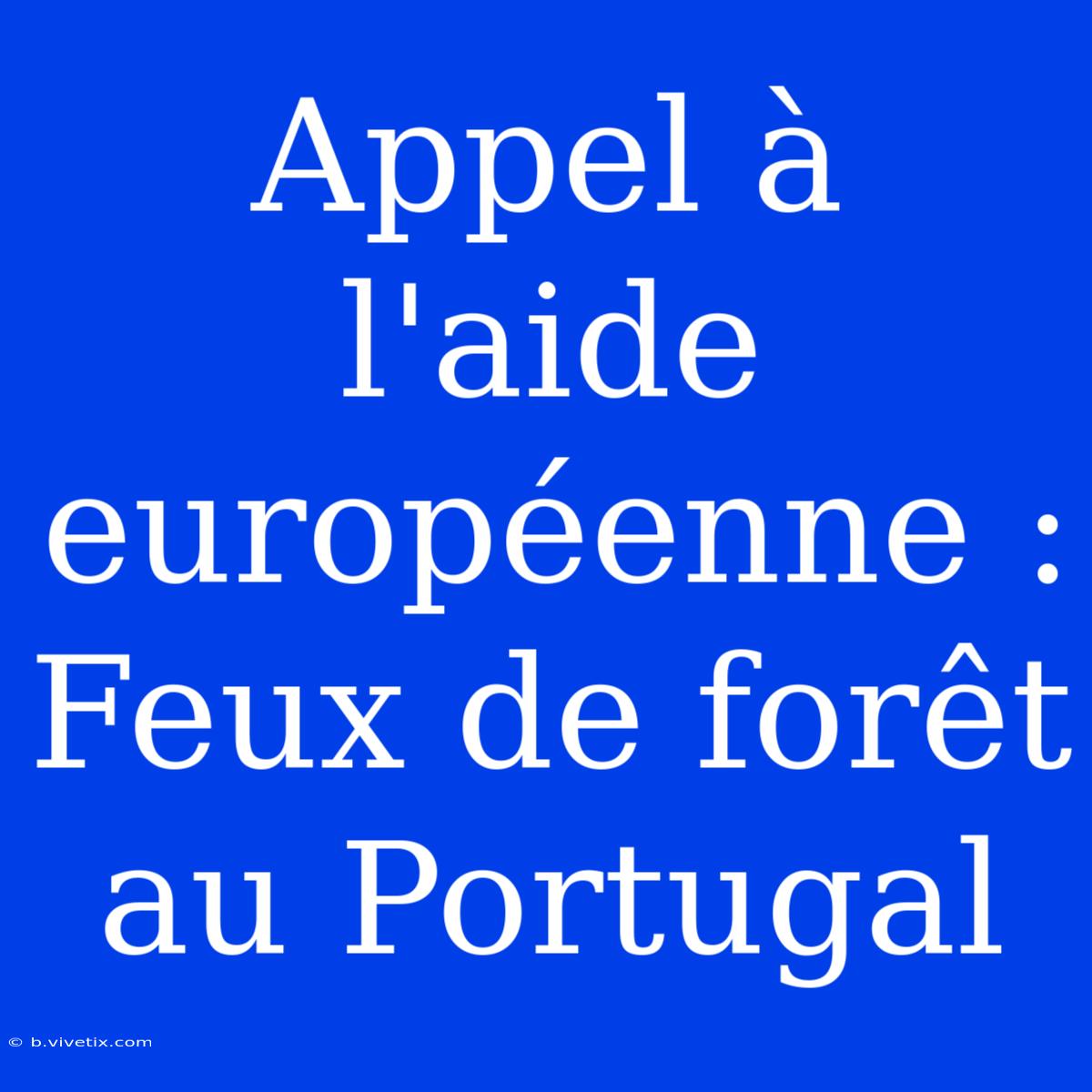 Appel À L'aide Européenne : Feux De Forêt Au Portugal 