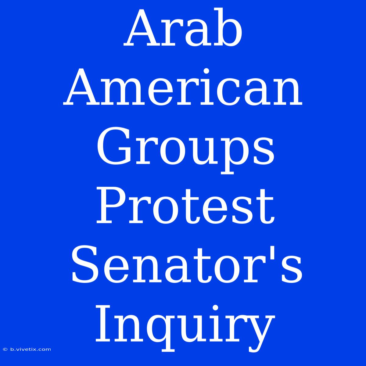 Arab American Groups Protest Senator's Inquiry