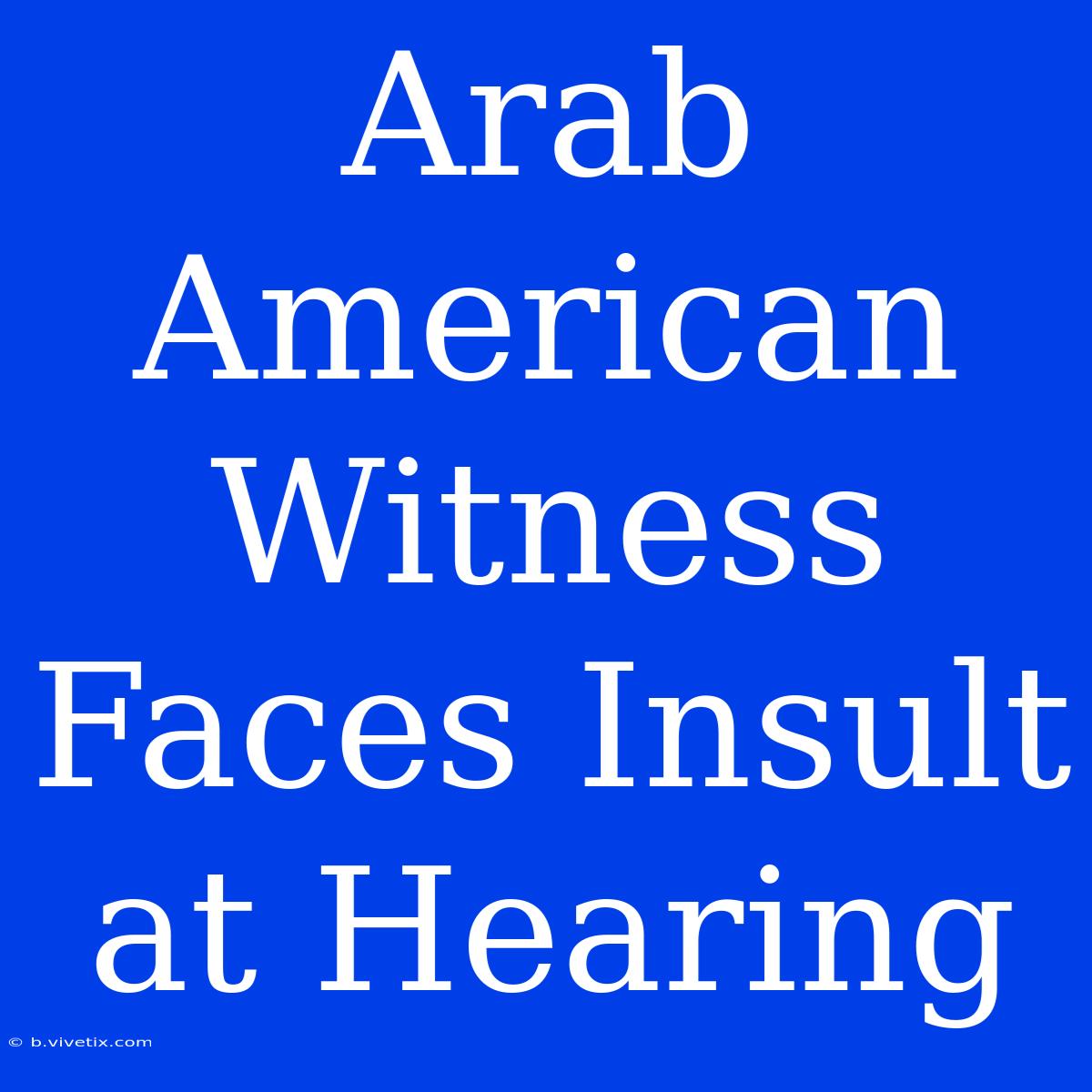 Arab American Witness Faces Insult At Hearing