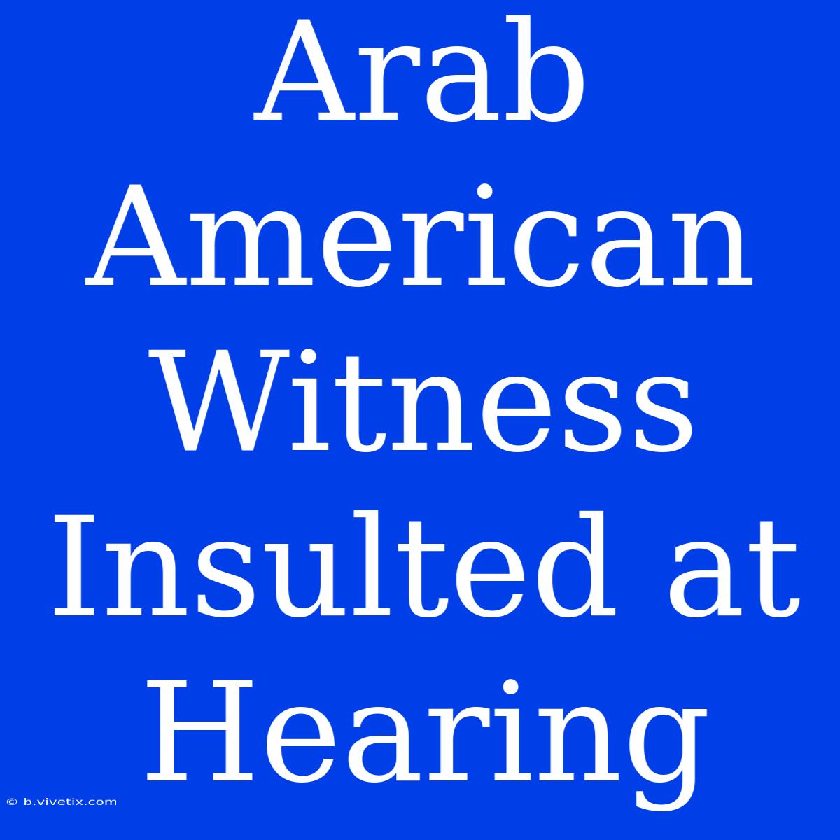 Arab American Witness Insulted At Hearing