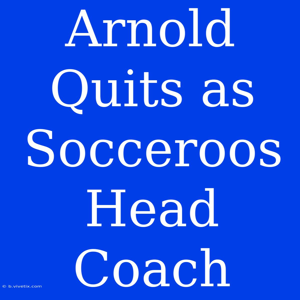 Arnold Quits As Socceroos Head Coach