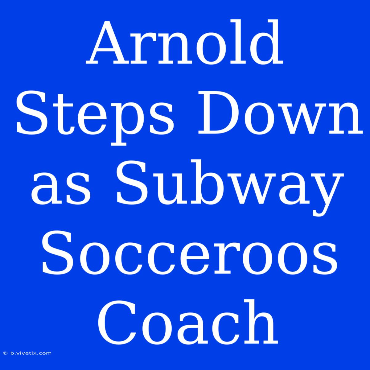 Arnold Steps Down As Subway Socceroos Coach