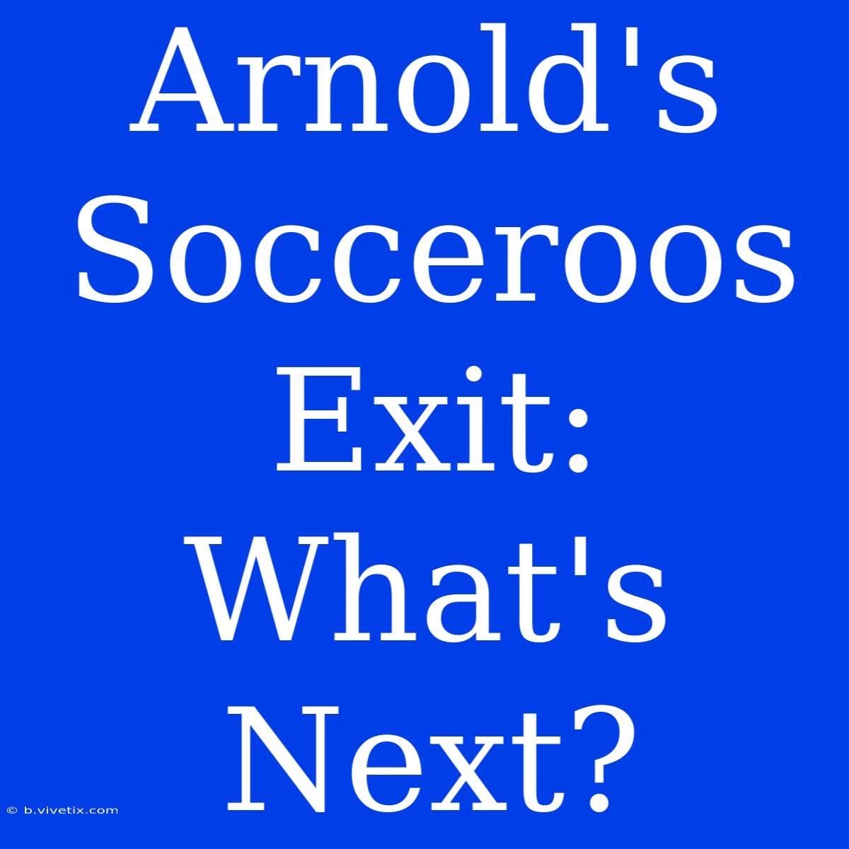 Arnold's Socceroos Exit: What's Next? 