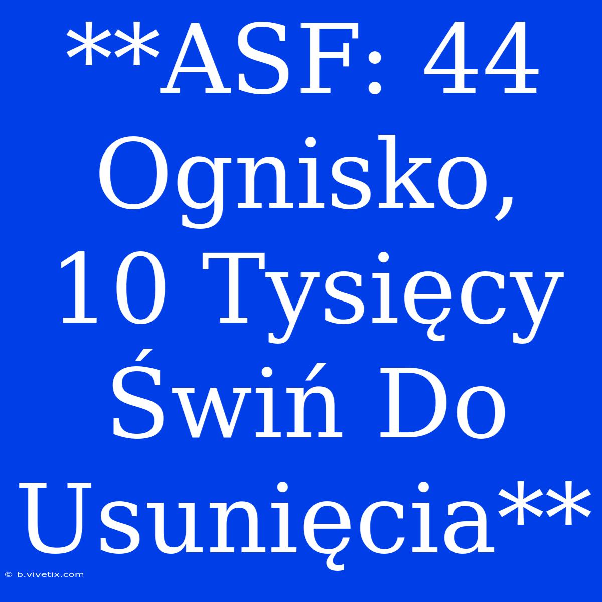 **ASF: 44 Ognisko, 10 Tysięcy Świń Do Usunięcia**