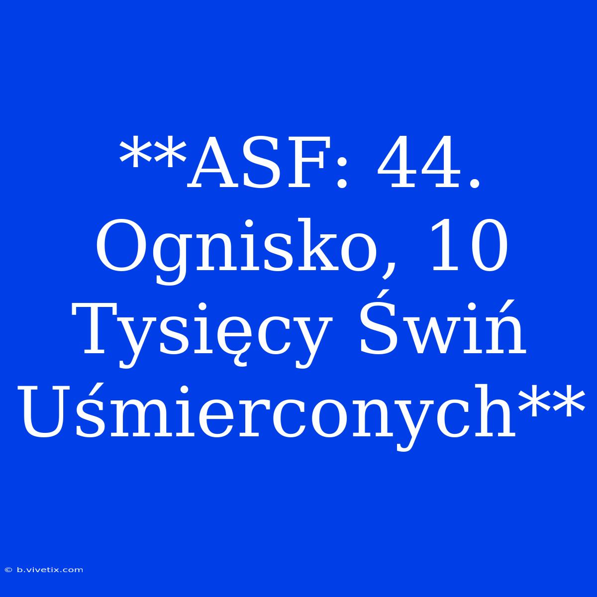 **ASF: 44. Ognisko, 10 Tysięcy Świń Uśmierconych**