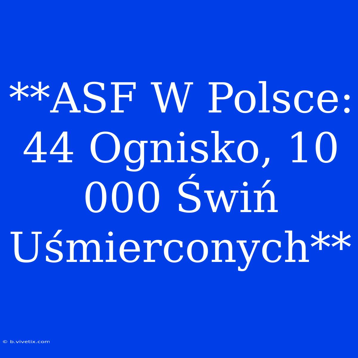 **ASF W Polsce: 44 Ognisko, 10 000 Świń Uśmierconych**