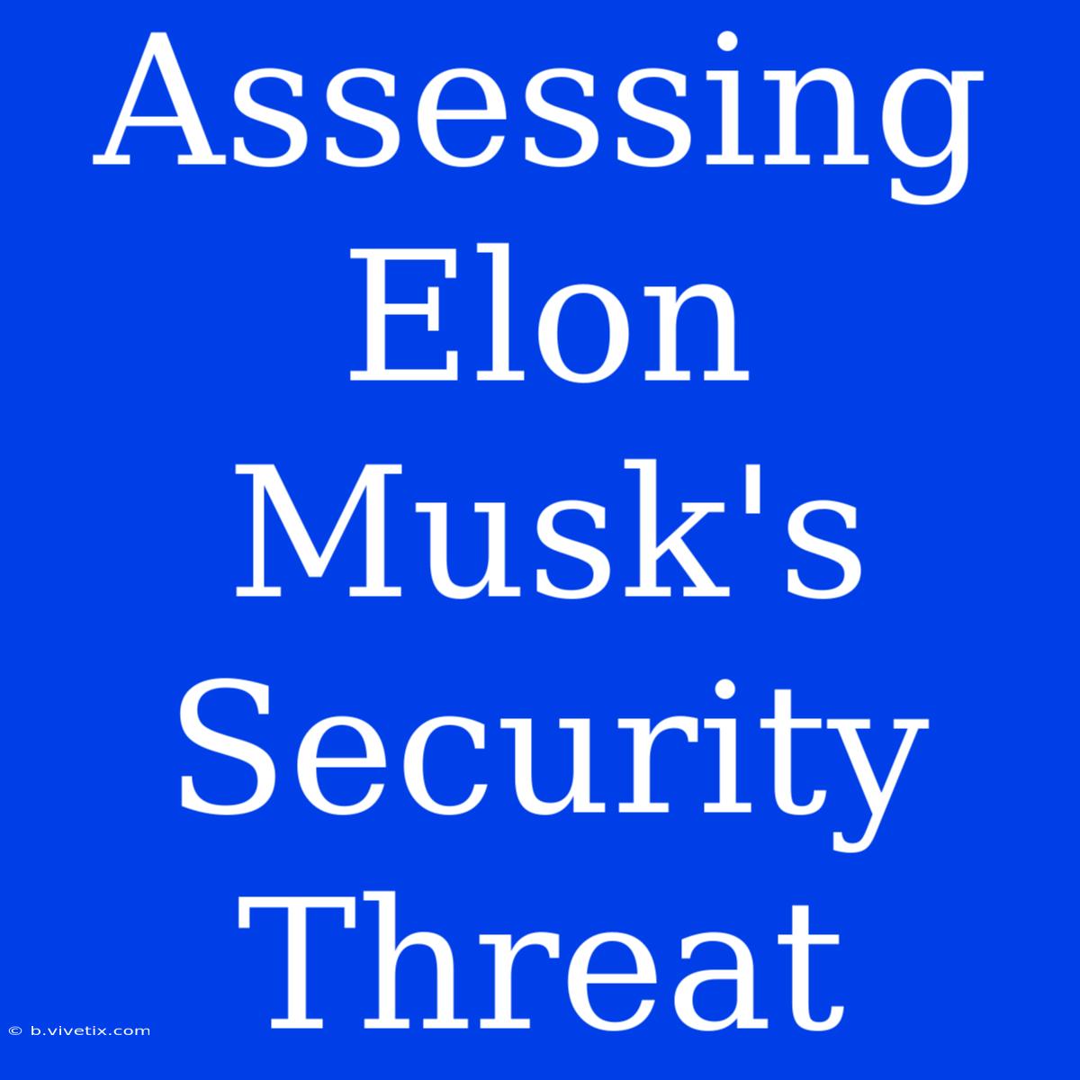 Assessing Elon Musk's Security Threat