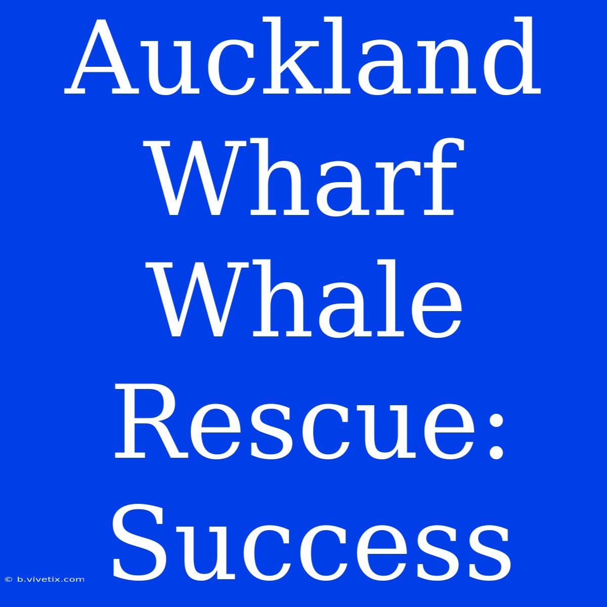 Auckland Wharf Whale Rescue: Success 