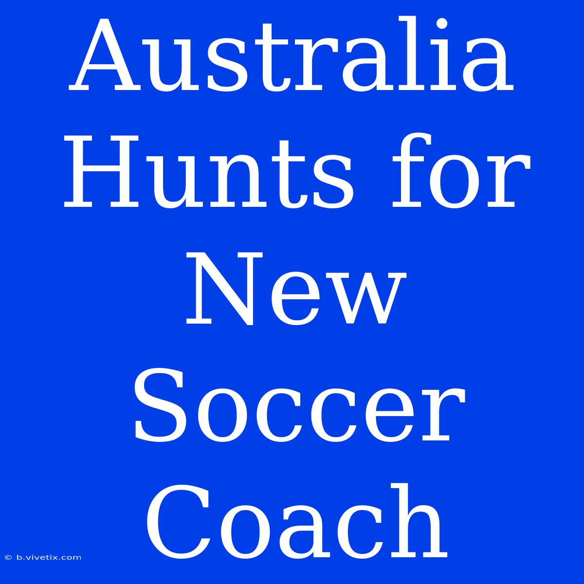 Australia Hunts For New Soccer Coach