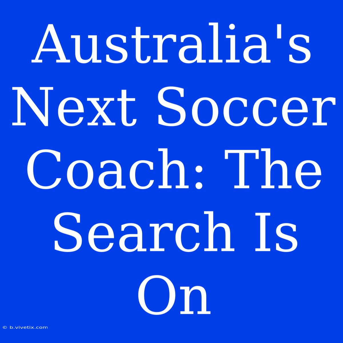 Australia's Next Soccer Coach: The Search Is On