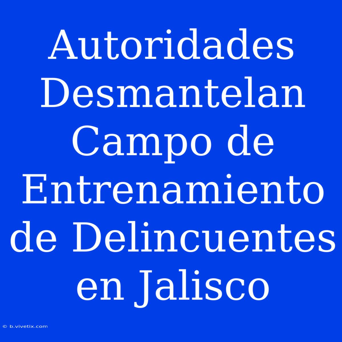 Autoridades Desmantelan Campo De Entrenamiento De Delincuentes En Jalisco