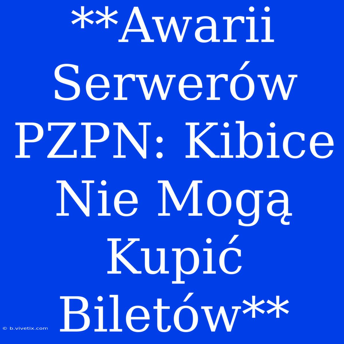 **Awarii Serwerów PZPN: Kibice Nie Mogą Kupić Biletów**