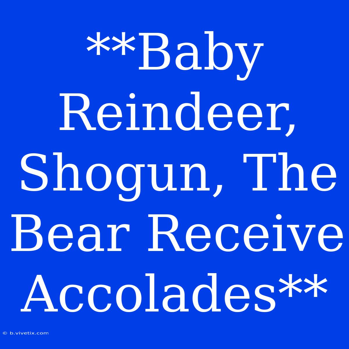 **Baby Reindeer, Shogun, The Bear Receive Accolades**