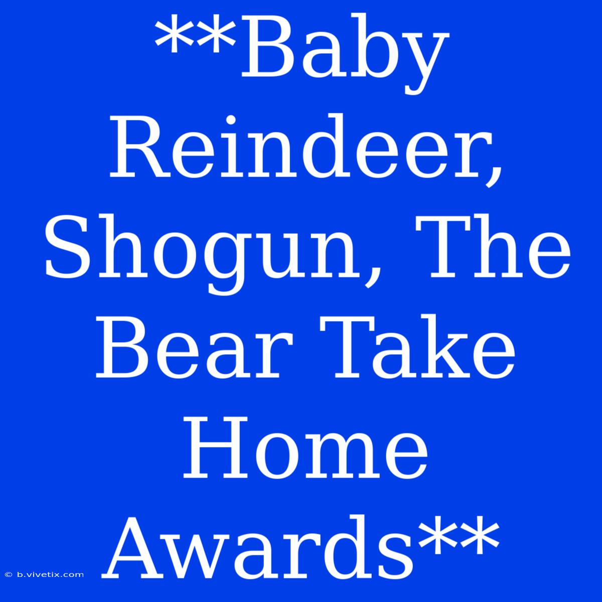 **Baby Reindeer, Shogun, The Bear Take Home Awards**