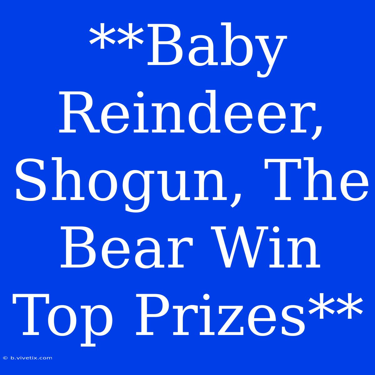 **Baby Reindeer, Shogun, The Bear Win Top Prizes** 