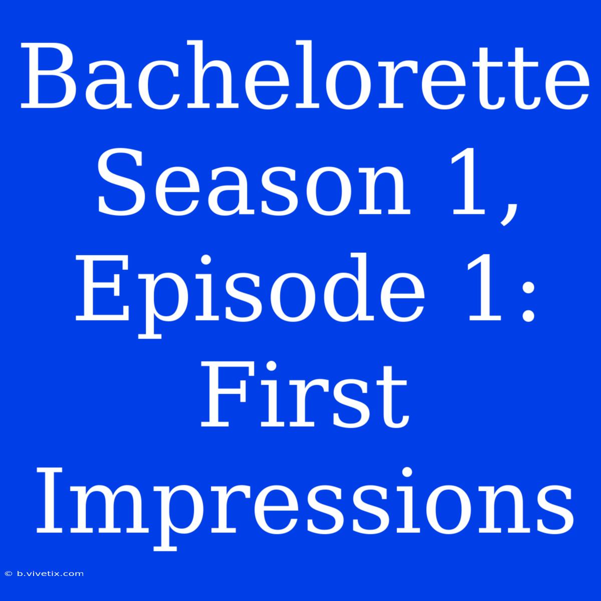 Bachelorette Season 1, Episode 1: First Impressions