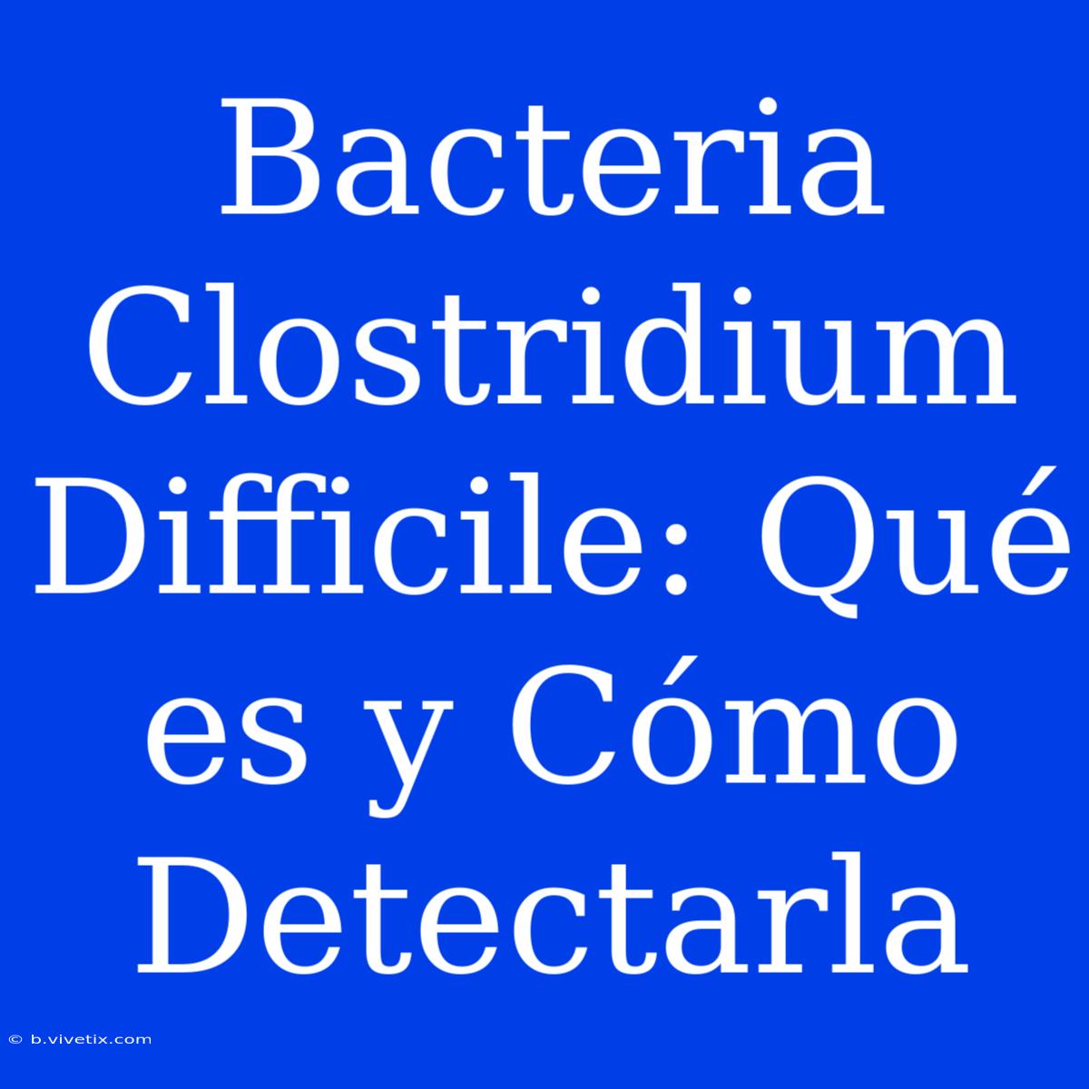 Bacteria Clostridium Difficile: Qué Es Y Cómo Detectarla