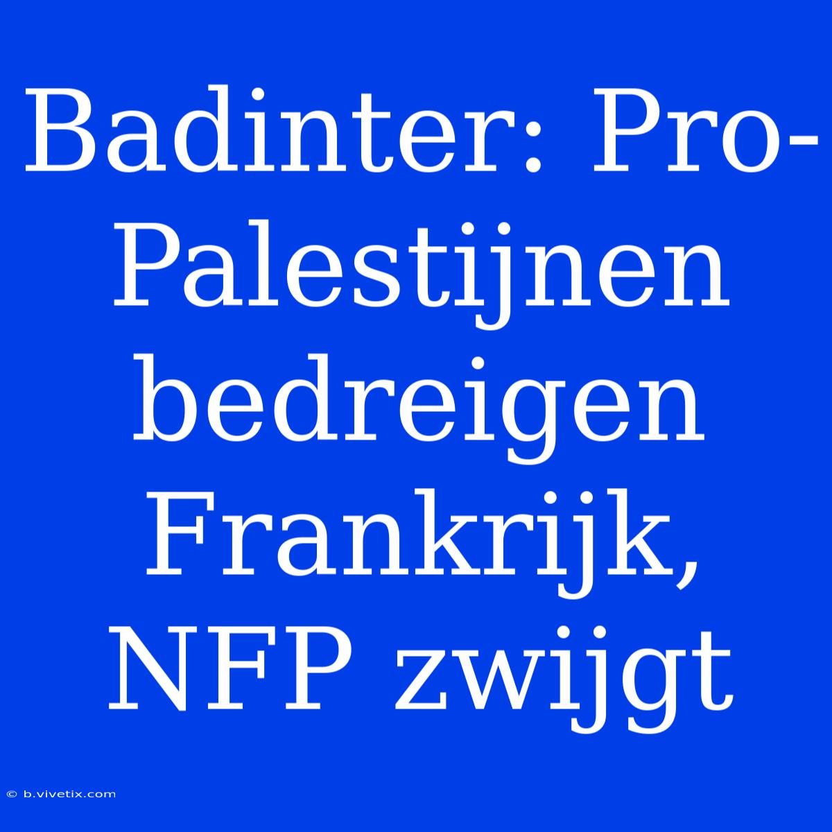 Badinter: Pro-Palestijnen Bedreigen Frankrijk, NFP Zwijgt