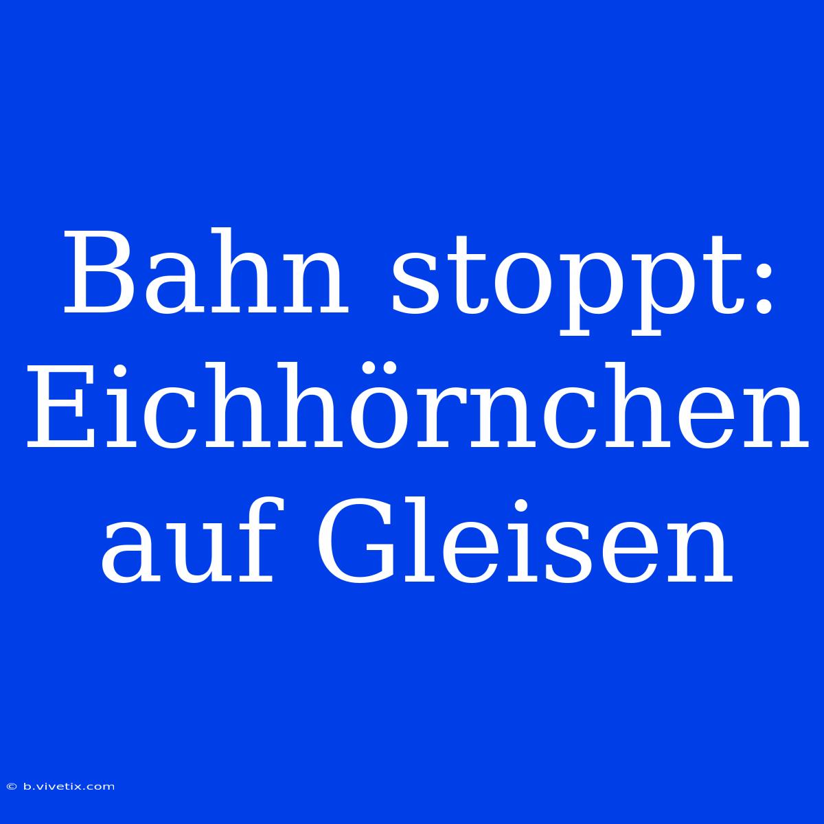 Bahn Stoppt: Eichhörnchen Auf Gleisen 