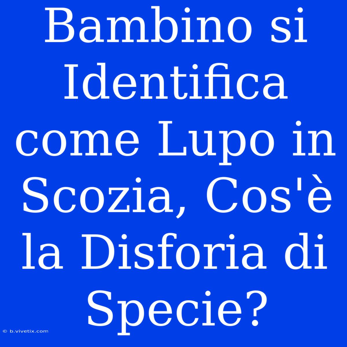 Bambino Si Identifica Come Lupo In Scozia, Cos'è La Disforia Di Specie?