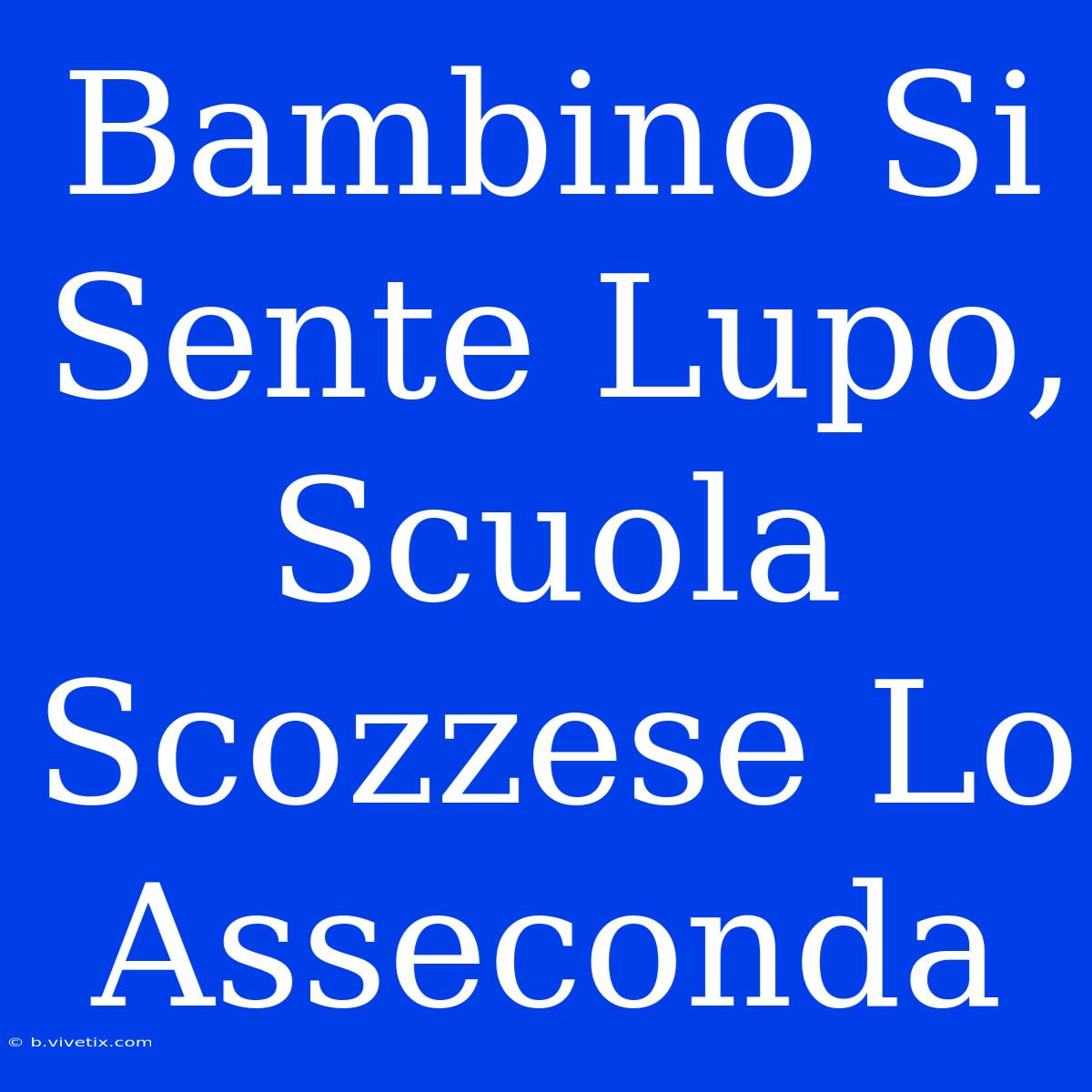 Bambino Si Sente Lupo, Scuola Scozzese Lo Asseconda