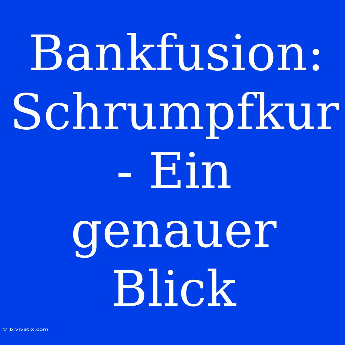 Bankfusion: Schrumpfkur - Ein Genauer Blick