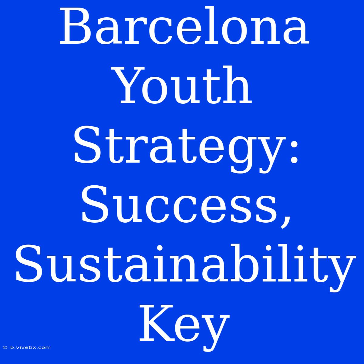 Barcelona Youth Strategy: Success, Sustainability Key