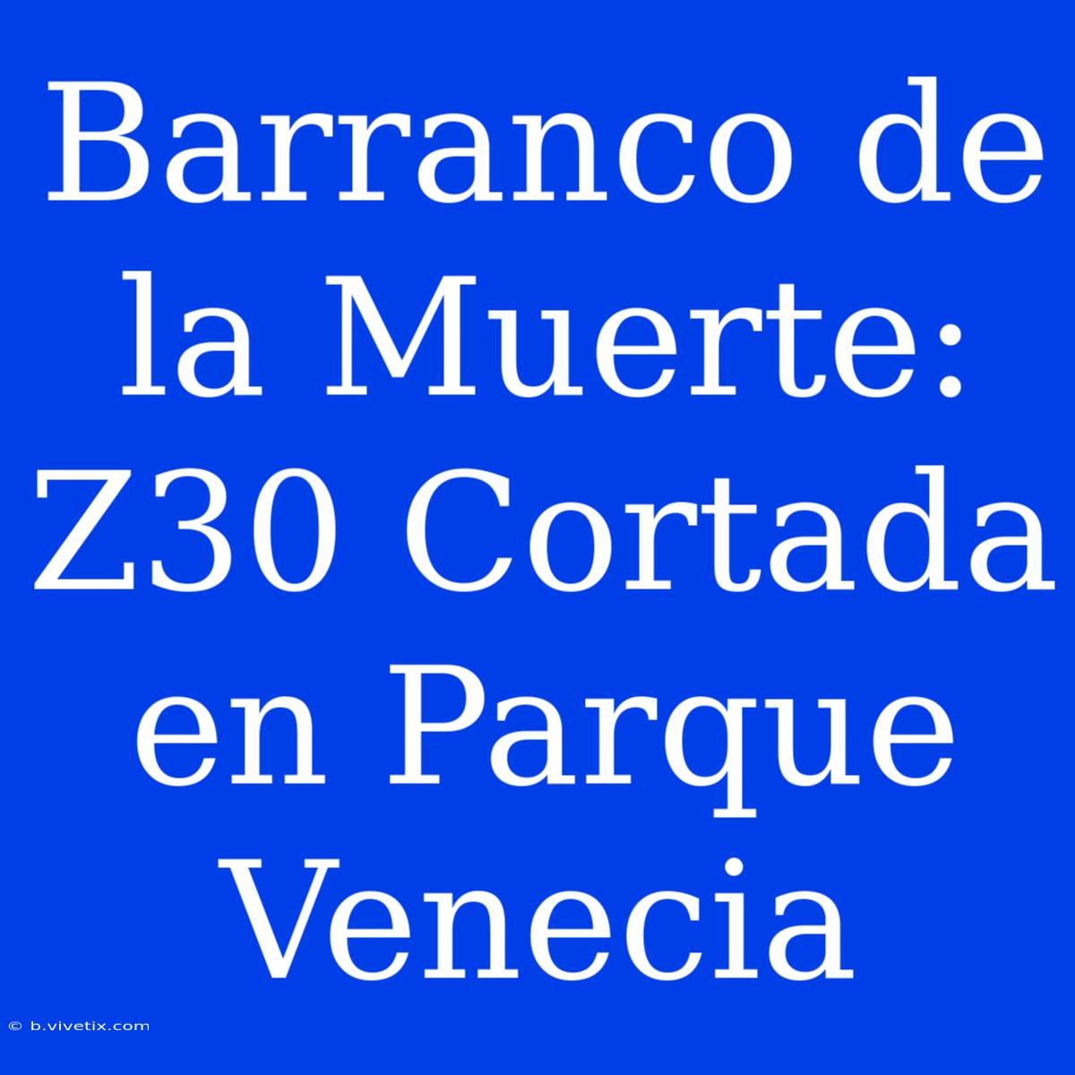 Barranco De La Muerte: Z30 Cortada En Parque Venecia