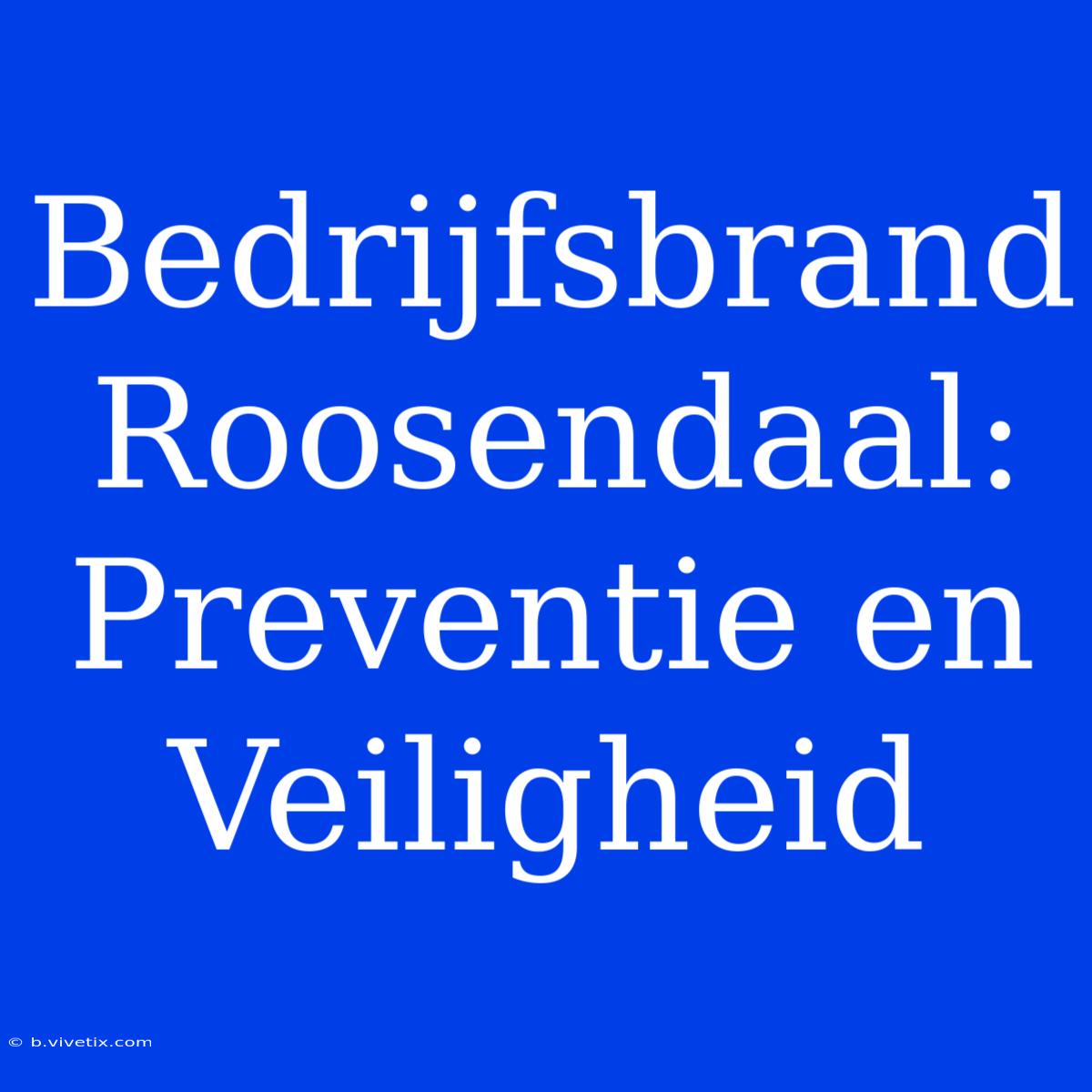 Bedrijfsbrand Roosendaal:  Preventie En Veiligheid