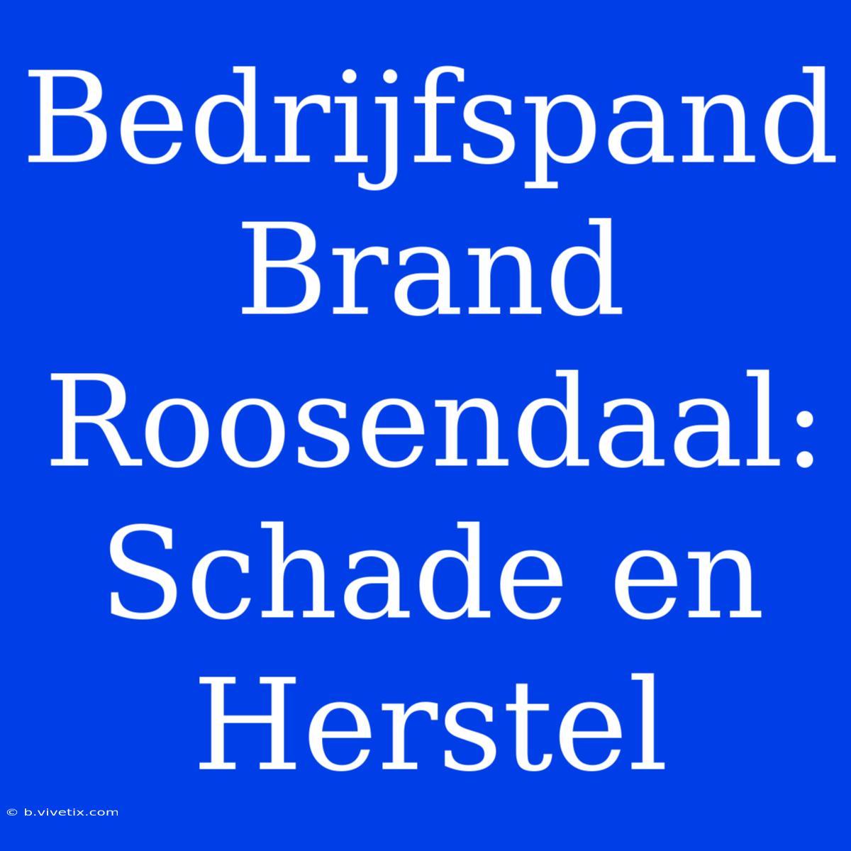 Bedrijfspand Brand Roosendaal: Schade En Herstel