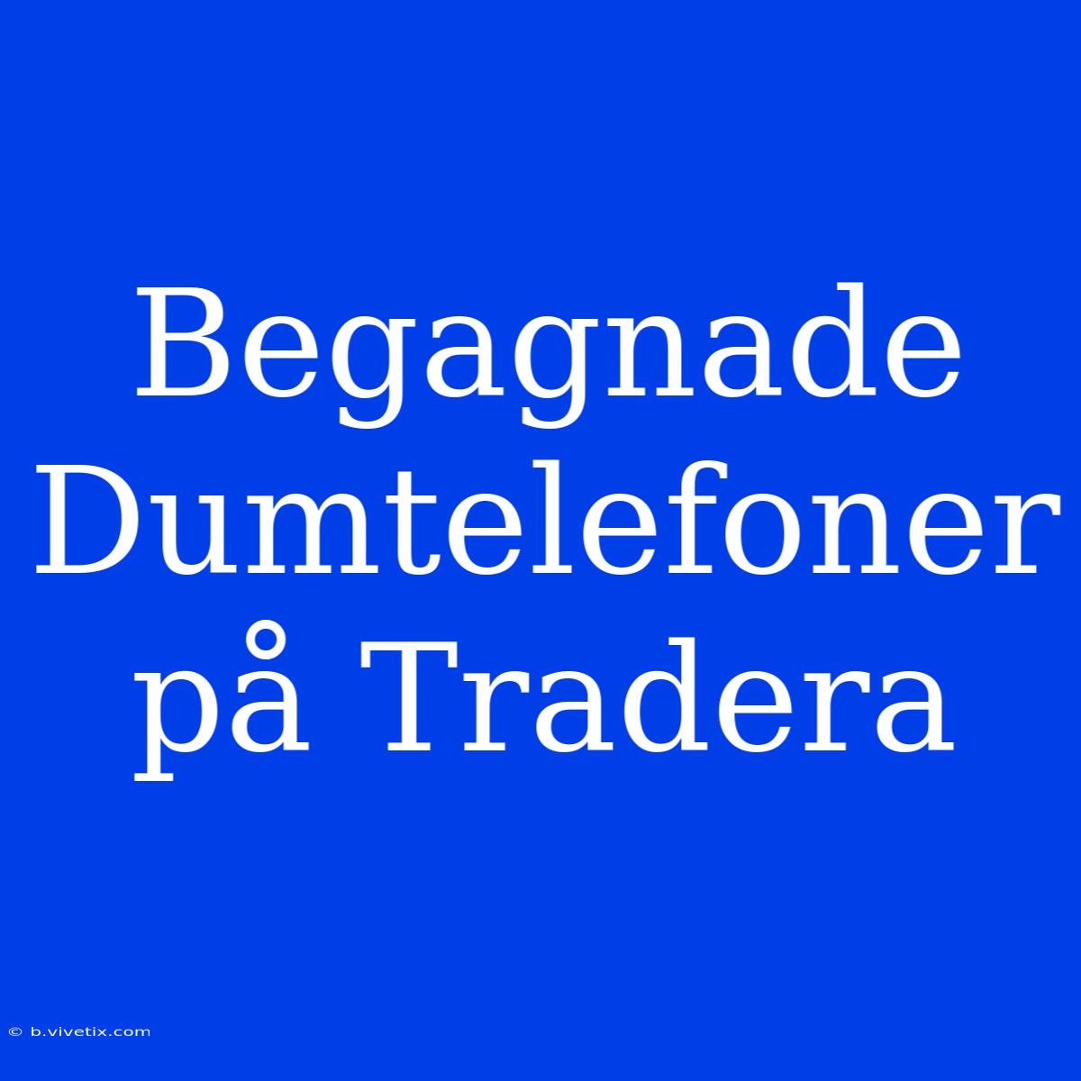 Begagnade Dumtelefoner På Tradera