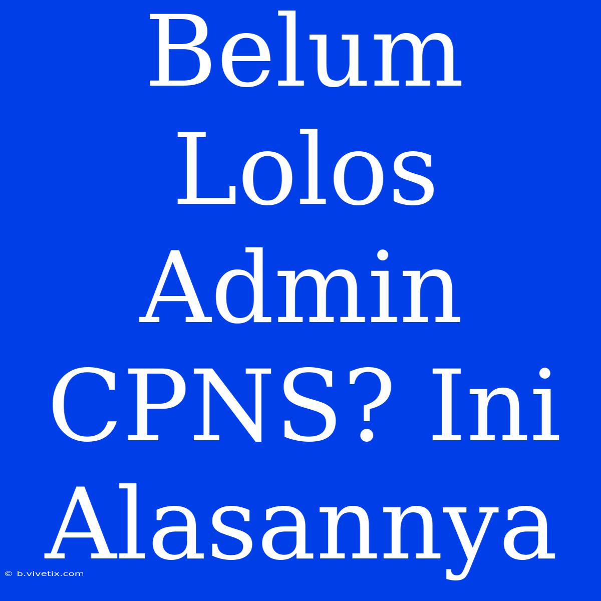 Belum Lolos Admin CPNS? Ini Alasannya