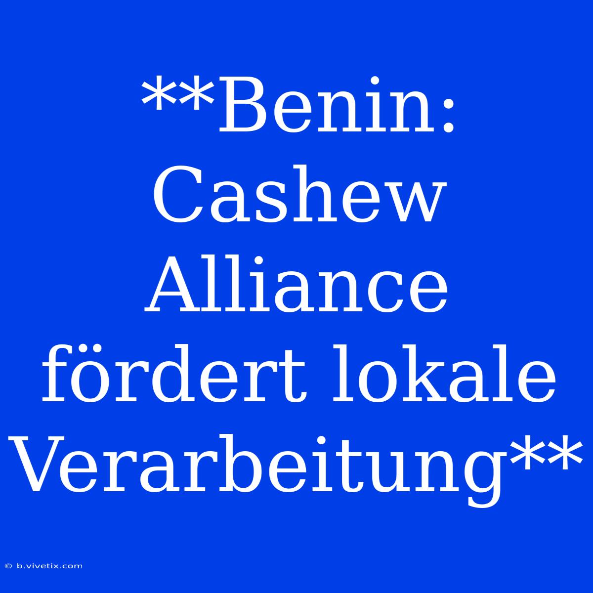 **Benin: Cashew Alliance Fördert Lokale Verarbeitung**