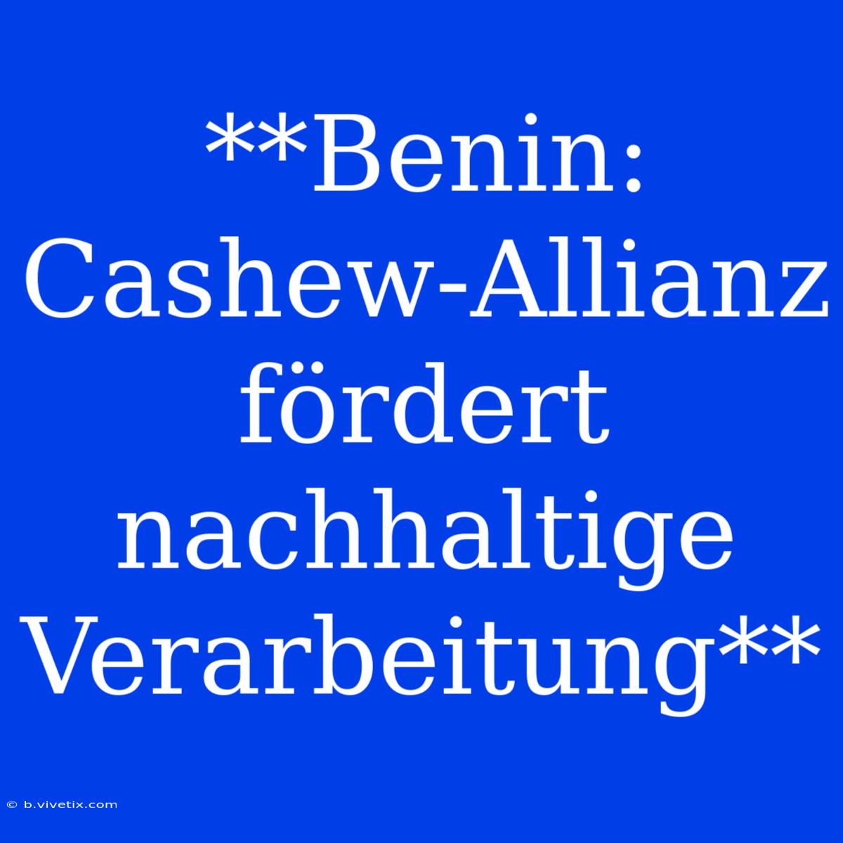 **Benin: Cashew-Allianz Fördert Nachhaltige Verarbeitung**