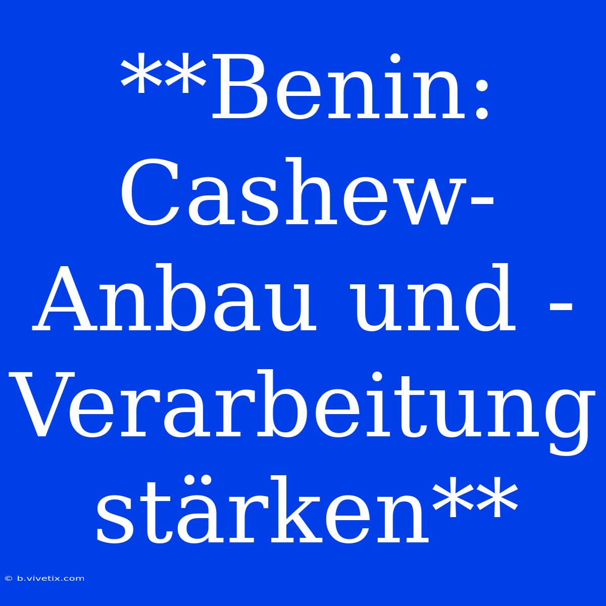 **Benin: Cashew-Anbau Und -Verarbeitung Stärken**