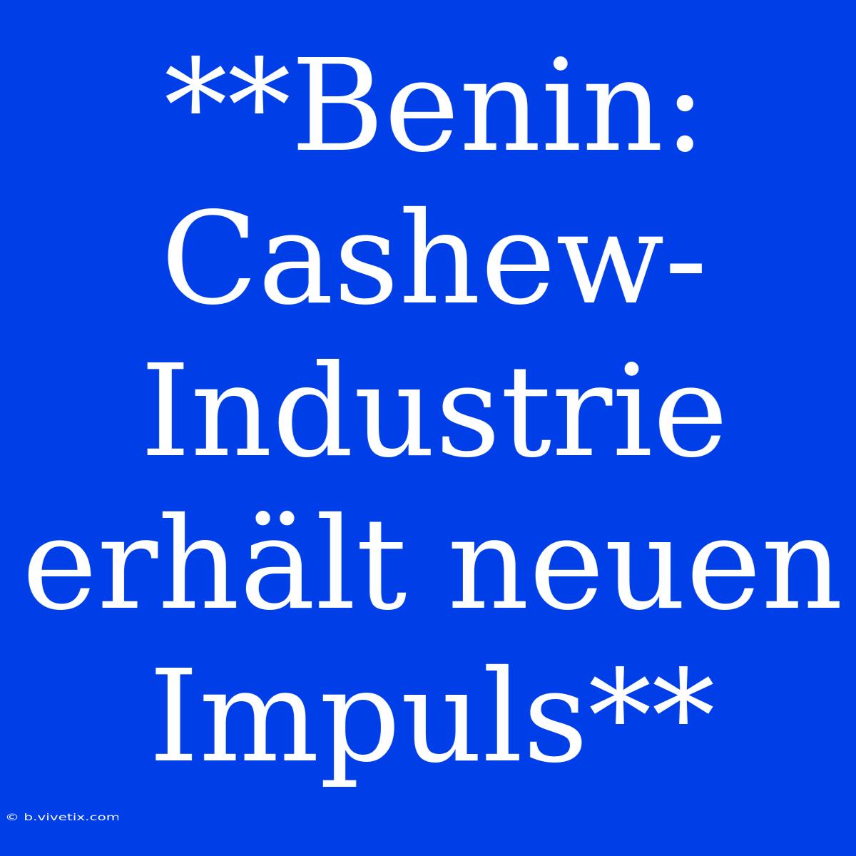 **Benin: Cashew-Industrie Erhält Neuen Impuls**