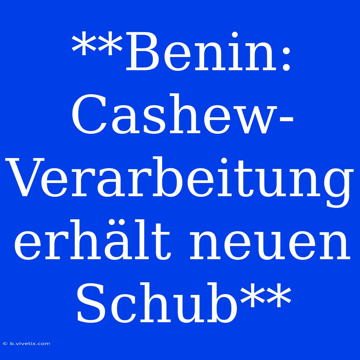 **Benin: Cashew-Verarbeitung Erhält Neuen Schub**