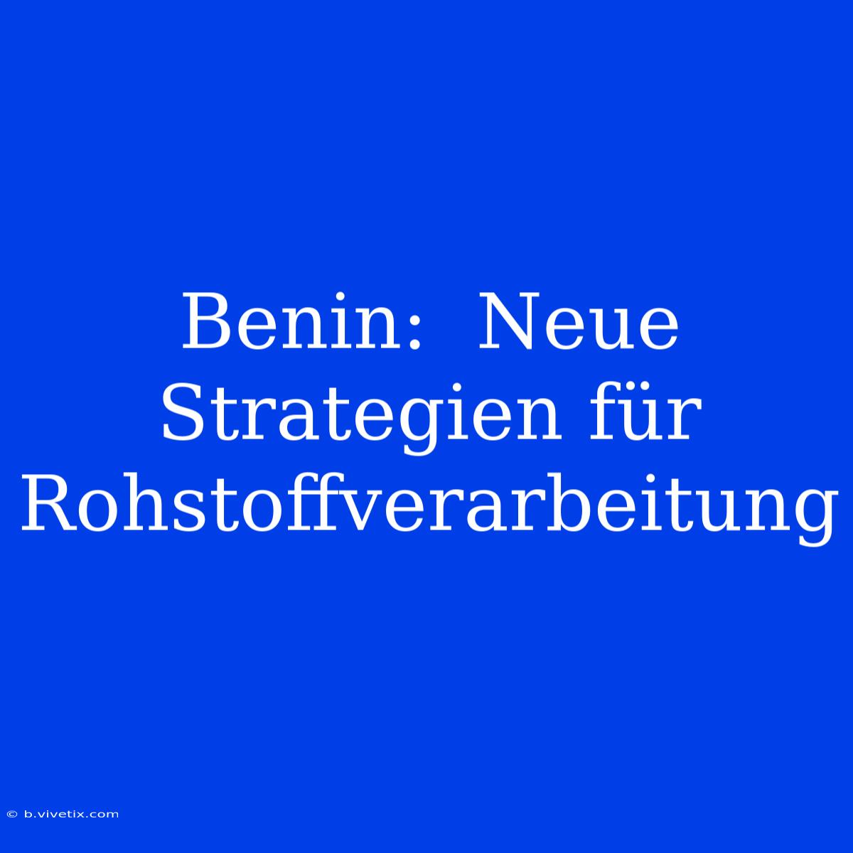 Benin:  Neue Strategien Für Rohstoffverarbeitung