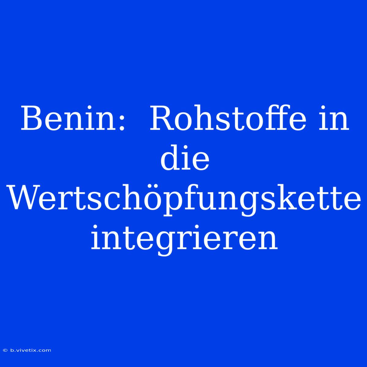 Benin:  Rohstoffe In Die Wertschöpfungskette Integrieren 