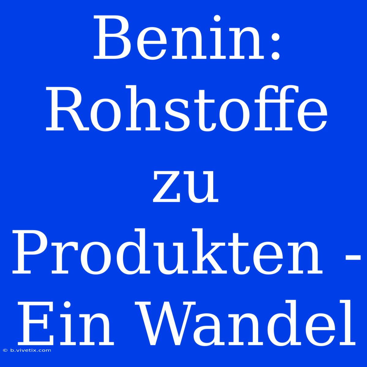 Benin: Rohstoffe Zu Produkten - Ein Wandel