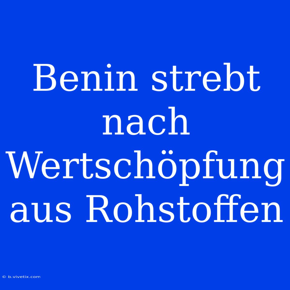 Benin Strebt Nach Wertschöpfung Aus Rohstoffen